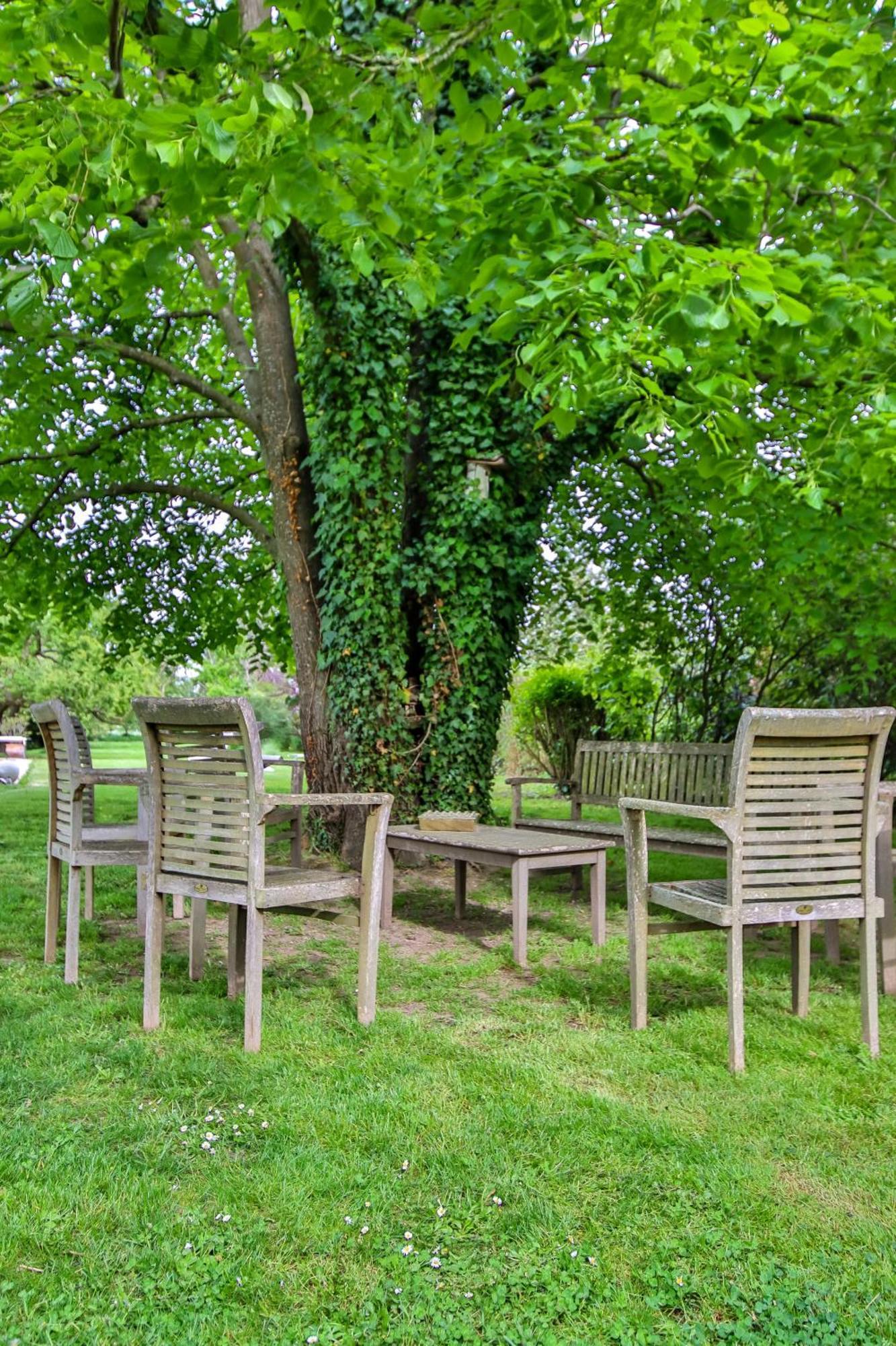 Domaine D'Aromm - Chambres D'Hotes & Gites - Piscine, Etangs & Animaux - Au Calme Ouches 외부 사진