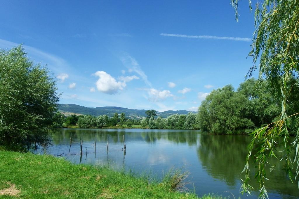 Domaine D'Aromm - Chambres D'Hotes & Gites - Piscine, Etangs & Animaux - Au Calme Ouches 외부 사진