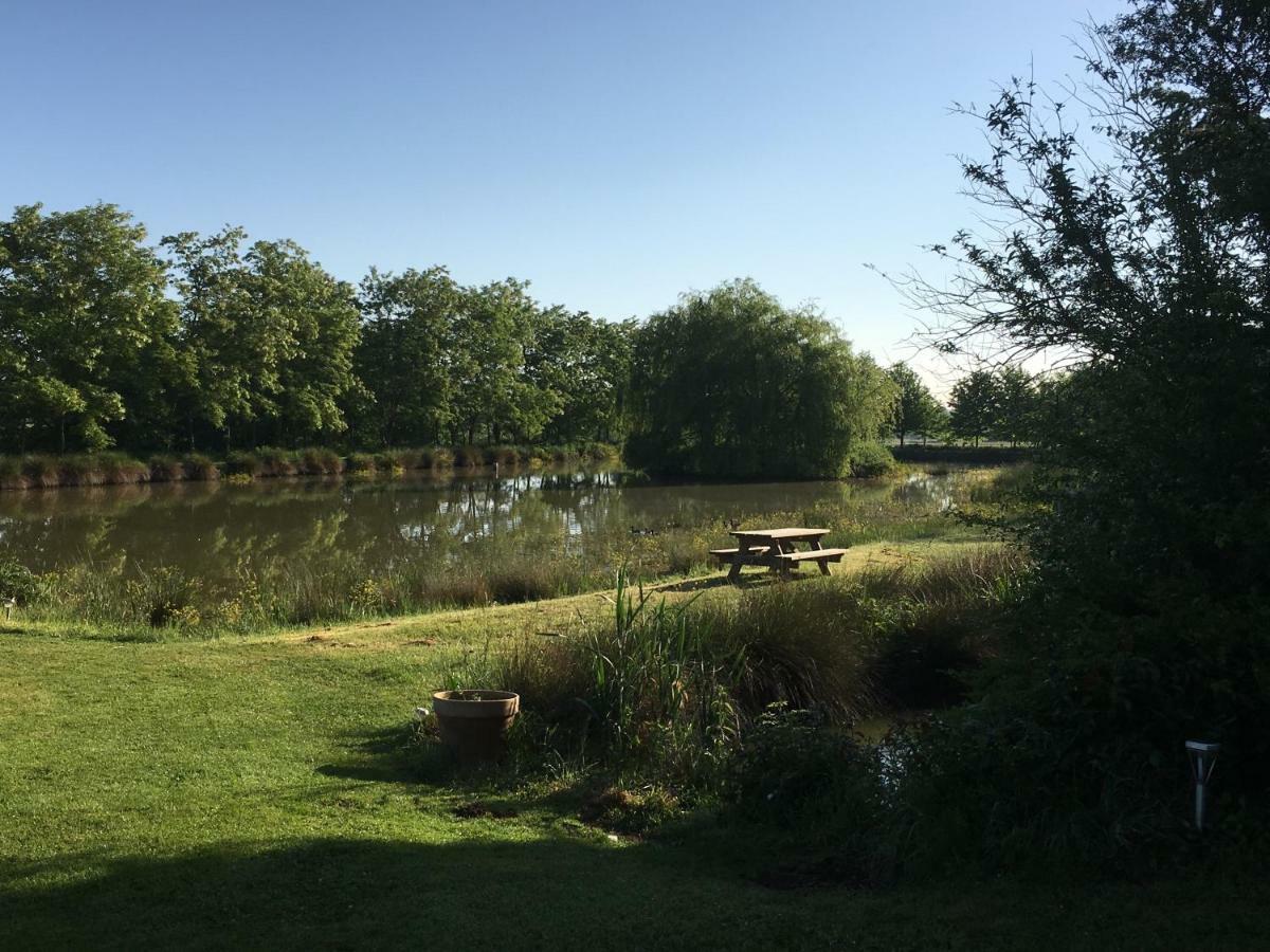 Domaine D'Aromm - Chambres D'Hotes & Gites - Piscine, Etangs & Animaux - Au Calme Ouches 외부 사진